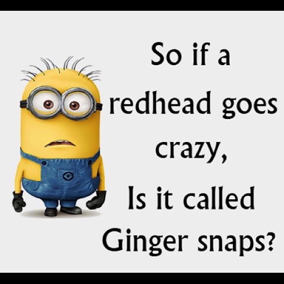 CLOSET CLEAN OUT - Picture 1 of 1